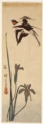ツバメとアイリス (カラー木版画)