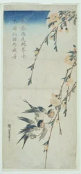 月光に照らされたツバメと桃の花（木版画
