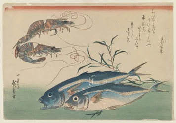 二匹のエビとアジ二匹、c.1832-33（紙に色木版）