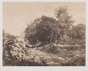 フォンテンブローの無題のシーンc。 1853年。