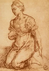 女性の研究;アンドレア・デル・サルトの絵。内閣描画と版画、ウフィツィ美術館、フィレンツェ