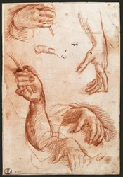 "Study of hands" ドローイング木炭(チャコール)