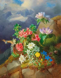 アルプスの花
