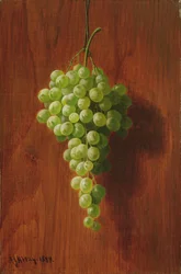 ブドウ（緑）、1884