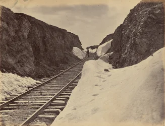 プレート5ホールズ・カット（1869年）（写真