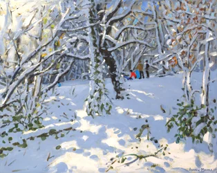 Allestree Woods、16x20、2013年のクリスマスそり
