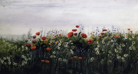 夏の花。アンドリュー・ニコル（1804-1886）作 個人蔵