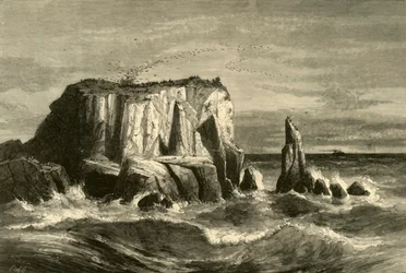 「海岸の情景、マリン郡」、1872 年。