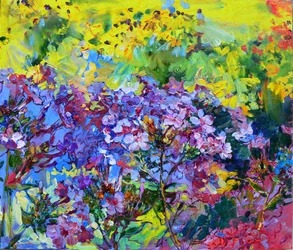 色とりどりの花畑
