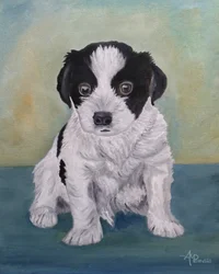 愛らしいふわふわの子犬