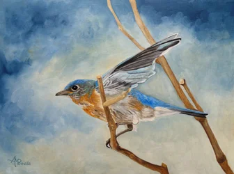 ブルーバードが飛び立つ