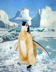 好奇心旺盛なペンギン 南極の氷