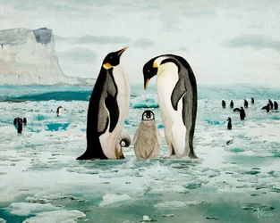 皇帝ペンギンの家族