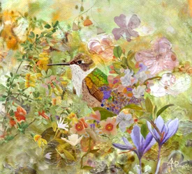 ハチドリの庭の花