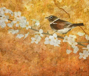 春の鳥と花