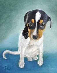 三色の子犬の肖像画