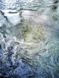澄んだ水の流れ