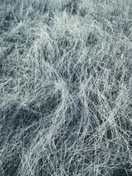 霜に覆われた冬の草