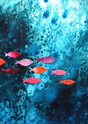 色とりどりの海の魚