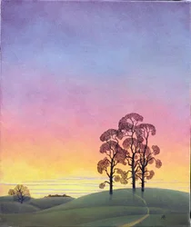 松の小道2004