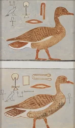 ケーマンクの個人墓からの壁画のコピー、III、1、132、ギザ、ガチョウ、20 世紀
