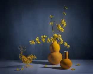 黄金色のレンギョウの静物