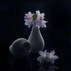 ムーディーな花と花瓶