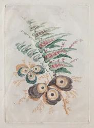 デザインと絵画に使用するのに理想的な花のポートフォリオの新しいスイート：花のファンタジー、c。 179