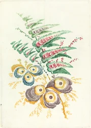 カキ殻の花と幻想的な花