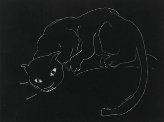 ナイトシリーズ：猫（リト、織り紙の白い線）