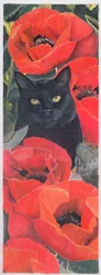 ケシの花と黒猫