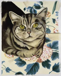 ぶち猫