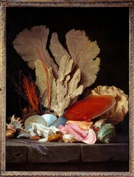 シー・パナッシュ 貝殻のある静物。アンヌ・ヴァレイヤー・コスター（1744-1818）による絵画 1769年 日1,3x0,97 m