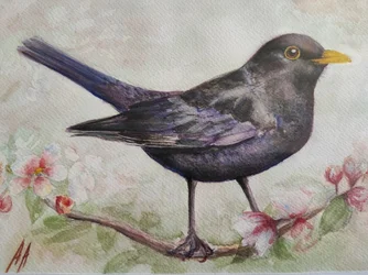 ブラックバードと桜