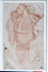 シャツを脱ぐ少年 Annibale Carracci dit le Carrache（1560-1609）の「Drawing a la sanguine」を描いたもの 日0.35x0.22 m パリ、ルーヴル美術館