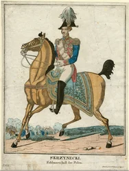 Jan Zygmunt Skrzynecki (1787-1860) ポーランドの将軍