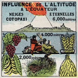 気象学：高度が気候に与える影響。1925年の匿名のイラスト。個人蔵。