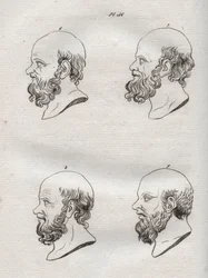 人相学 - Physiognomony - ギリシャの哲学者ソクラテス（紀元前469年頃～紀元前399年頃）の複数の頭部（ソクラテスの胸像（紀元前469年頃～紀元前399年頃）、アテネの哲学者）1808年の彫刻（Johann Gaspar (Gaspard) Lavatによる「The art of knowing men through physiognomomy（人相学を通して人を知る術）」に掲載されたもの