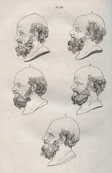 人相学 - Physiognomony - ギリシャの哲学者ソクラテス（紀元前469年頃～紀元前399年頃）の複数の頭部（ソクラテスの胸像（紀元前469年頃～紀元前399年頃）、アテネの哲学者）1808年の彫刻（Johann Gaspar (Gaspard) Lavatによる「The art of knowing men through physiognomomy（人相学を通じて人を知る術）」に掲載されたもの
