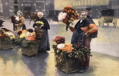 クリサンテーム・パーティ：街角のクリサンテーム・マーチャント。エングレービング。1910年11月20日の新聞 "Le petit parisien "に掲載されたもの。個人蔵。