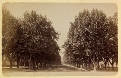 1885-1890年頃のマルセイユの街とその周辺：プラド美術館、個人蔵