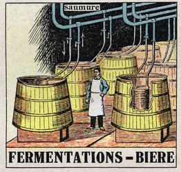 冷たい産業：ビールを製造するためのムート発酵を行う。1925年の匿名のイラスト。個人蔵。