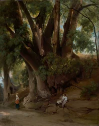 イタリアの樹木のある風景（アルバーノ近郊の道）