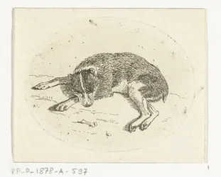 横たわっている犬
