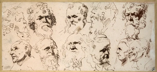 頭部のスケッチ11点（ペン・茶インク・紙