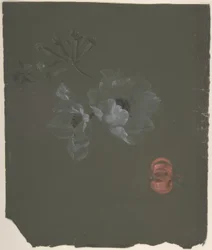 フローラルデザイン