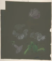 フローラルデザイン