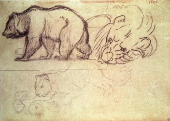クマが歩く、ライオンの頭とヒョウが動物を攻撃する（木炭と鉛筆）