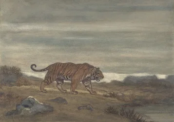プールに近づく虎、1810-75。