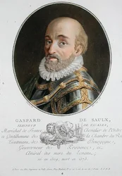 Gaspard de Saulx (1509-73) Lord of Tavanes
